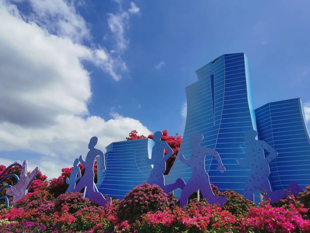 厦门花海景点最新,厦门最近的花海