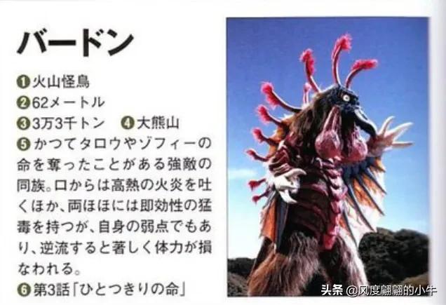 怪兽图鉴大全梦比优斯,梦比优斯怪兽图鉴