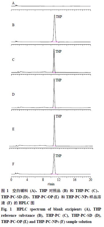 延胡索乙素磷脂复合物及其固体分散体、油制剂、纳米混悬剂的制备