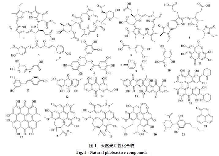 光敏剂的研究意义,天然产物结构研究