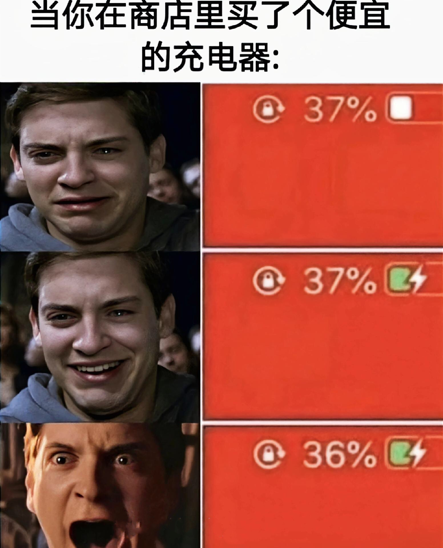 我信了，牛肉面里是有真牛的