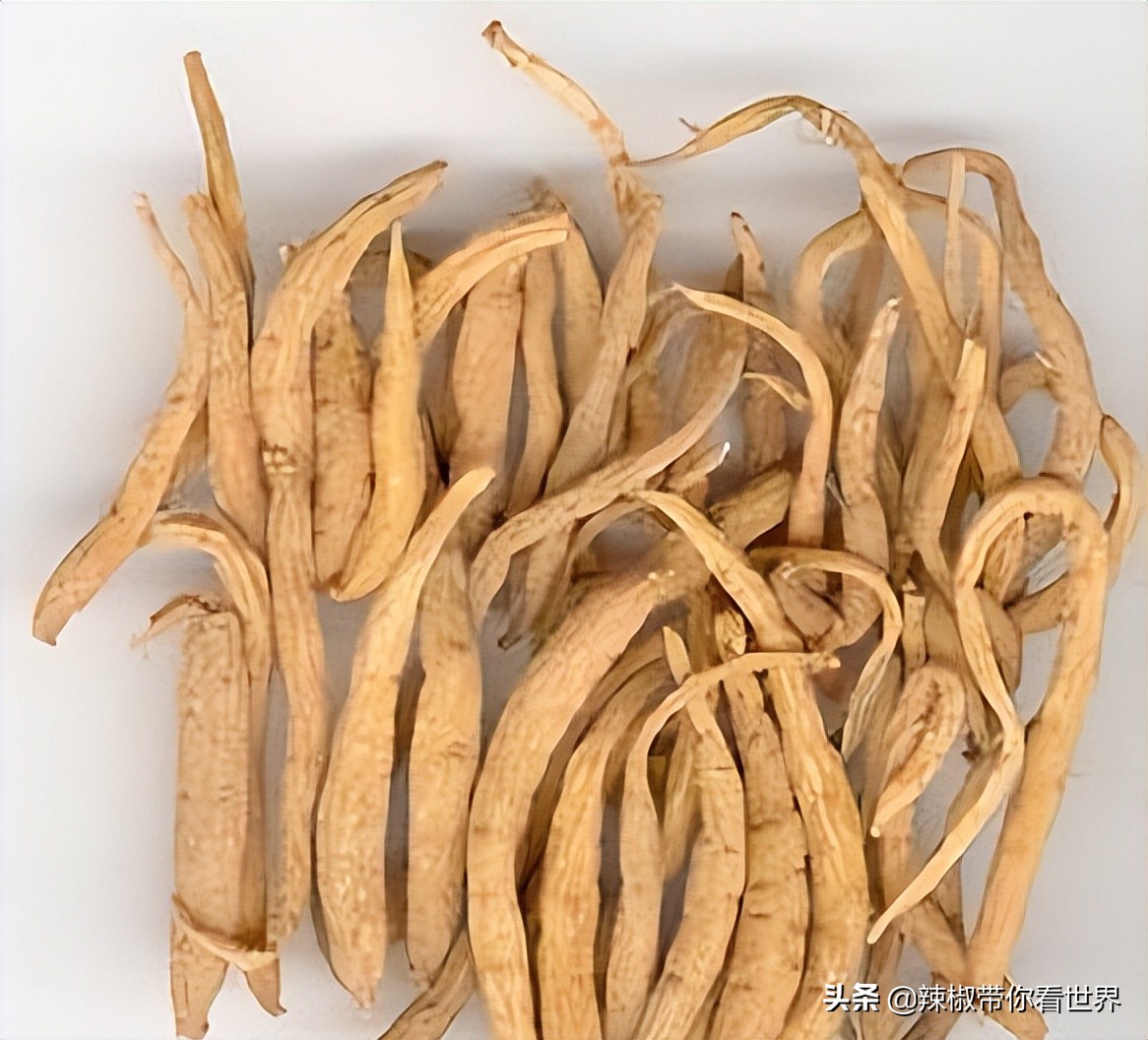 宁德大黄鱼之乡攻略,霞浦大黄鱼之乡图片