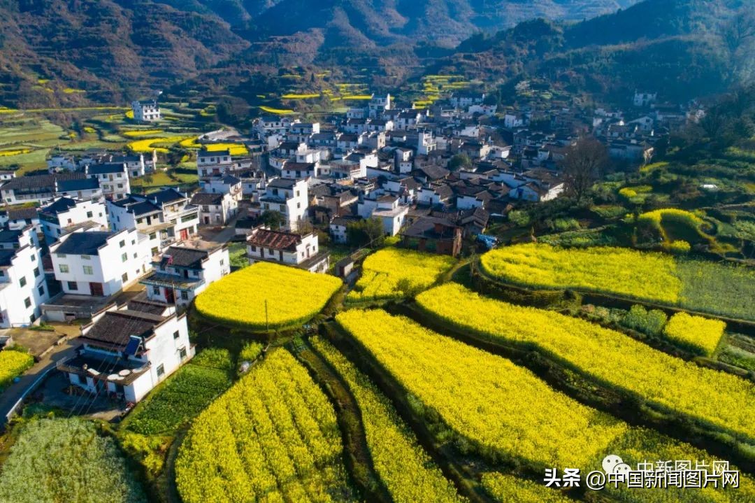 招募！荷赛大师带您记录“美丽中国美丽婺源”