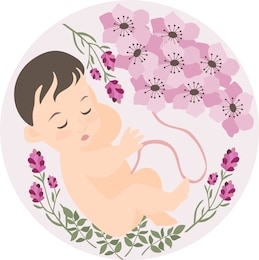 前壁和后壁胎盘区分,前壁胎盘和后壁怎么区分