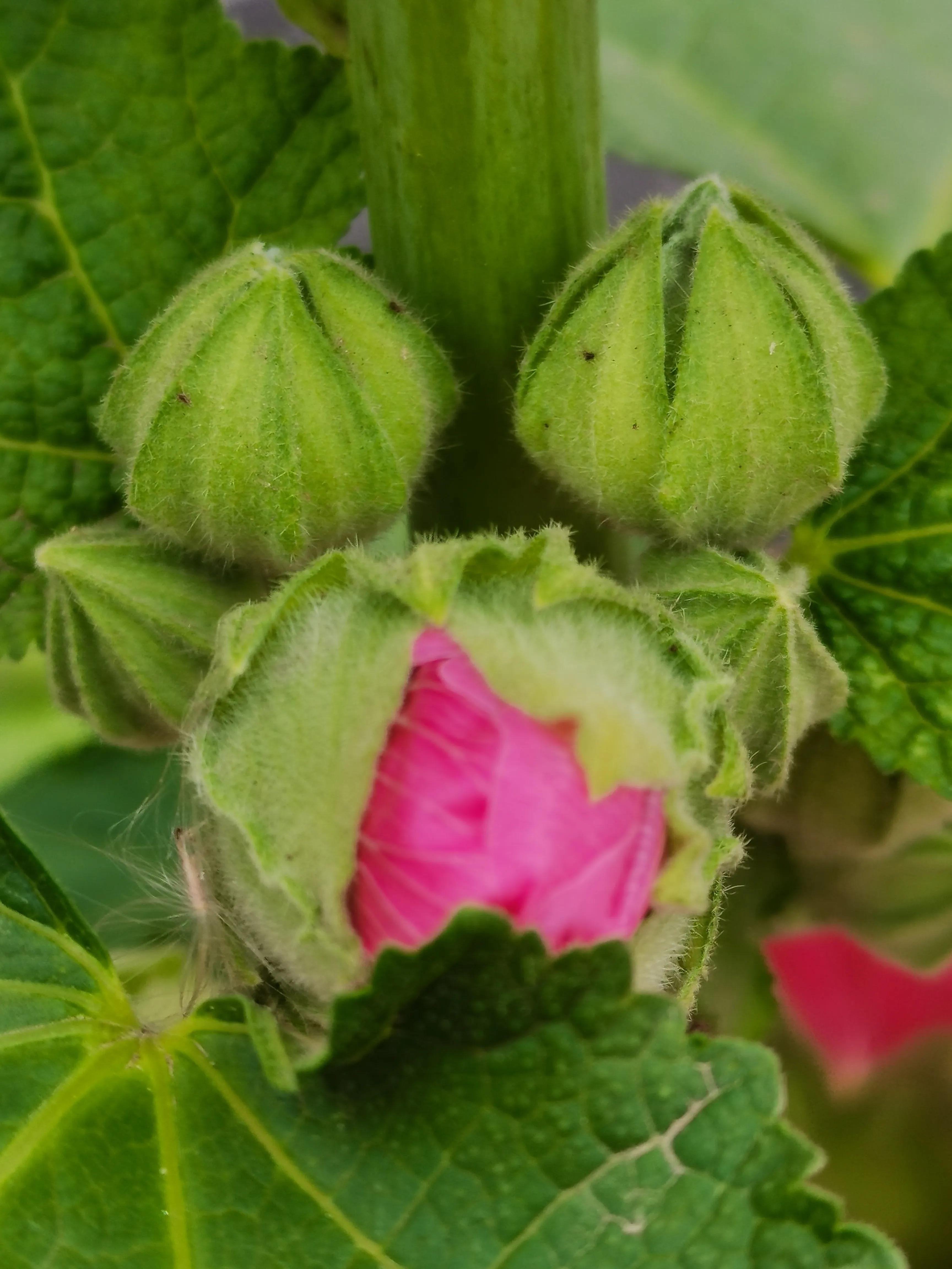 生活日记家的味道,生活札记300字