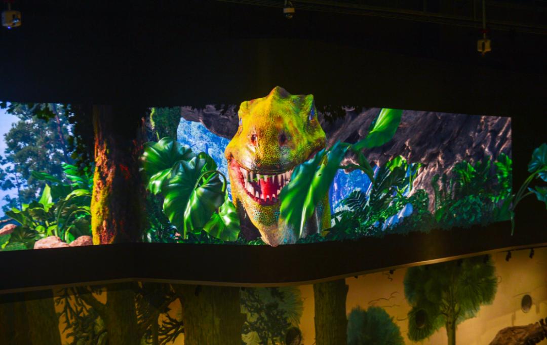 打卡山东博物馆和大明湖,山东博物馆打卡攻略