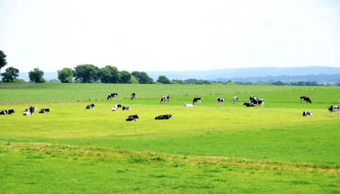 飞鹤星飞帆和优博瑞慕奶粉哪个好,飞鹤星飞帆卓睿和优博瑞慕哪个好