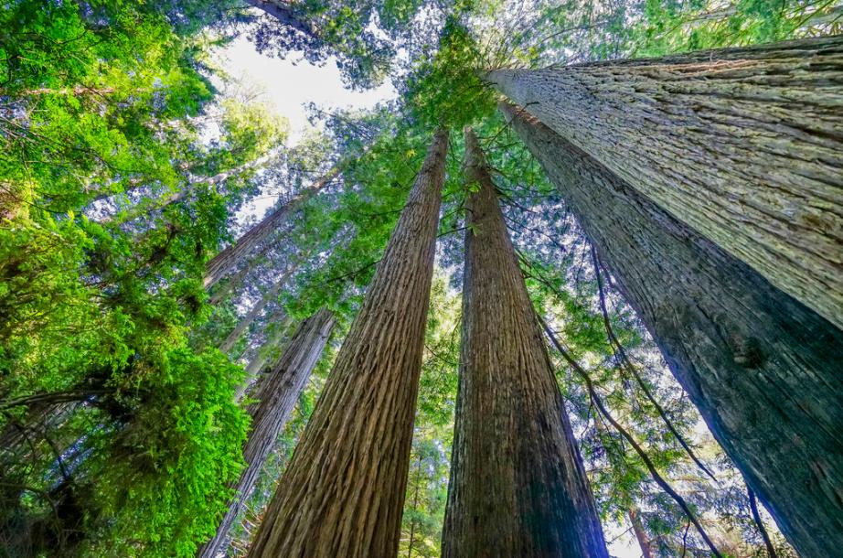 激光测距仪的测高教程,激光测高仪高精度