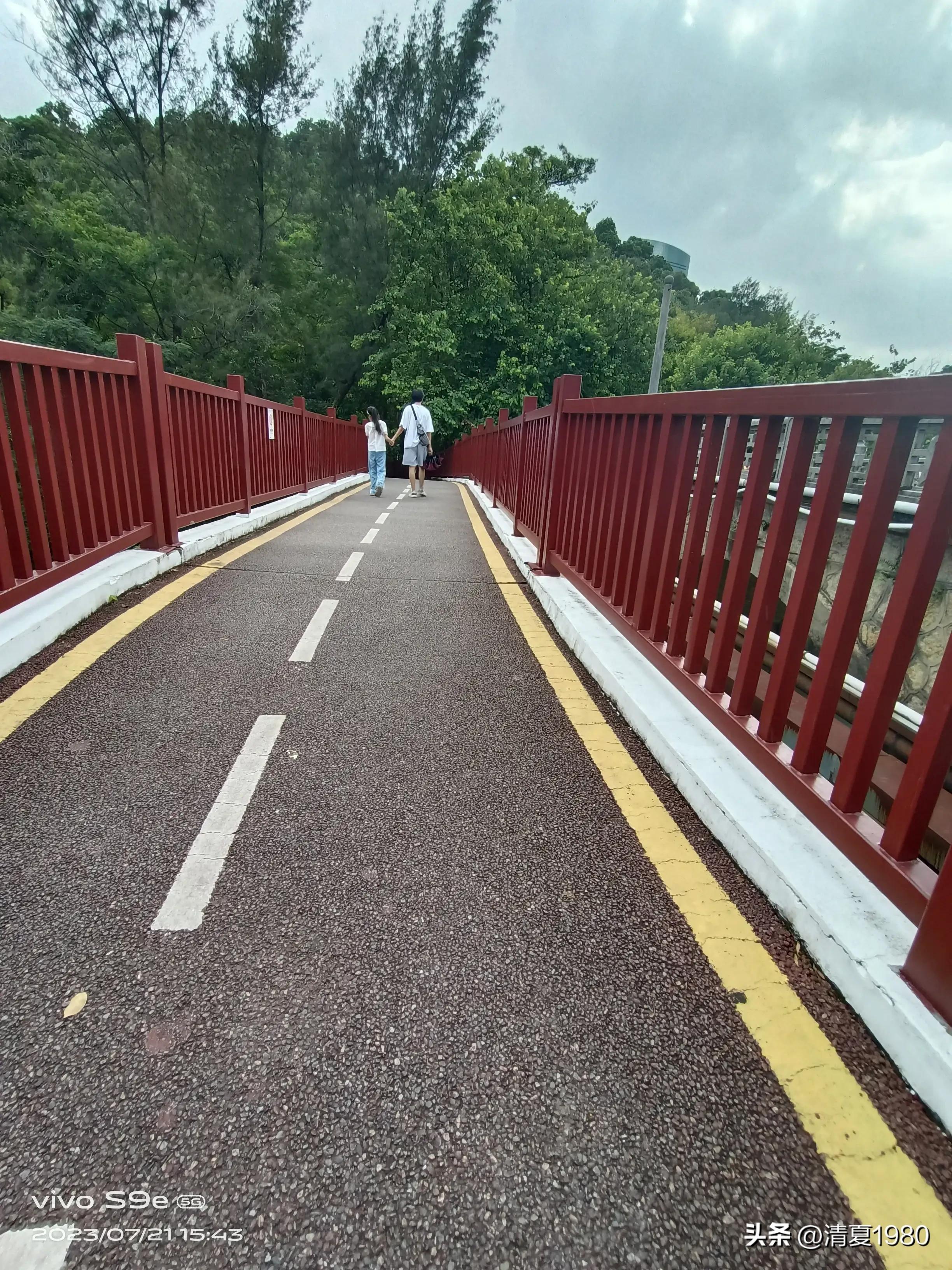 深圳东湖公园门票多少钱一张,深圳东湖公园景点图片高清