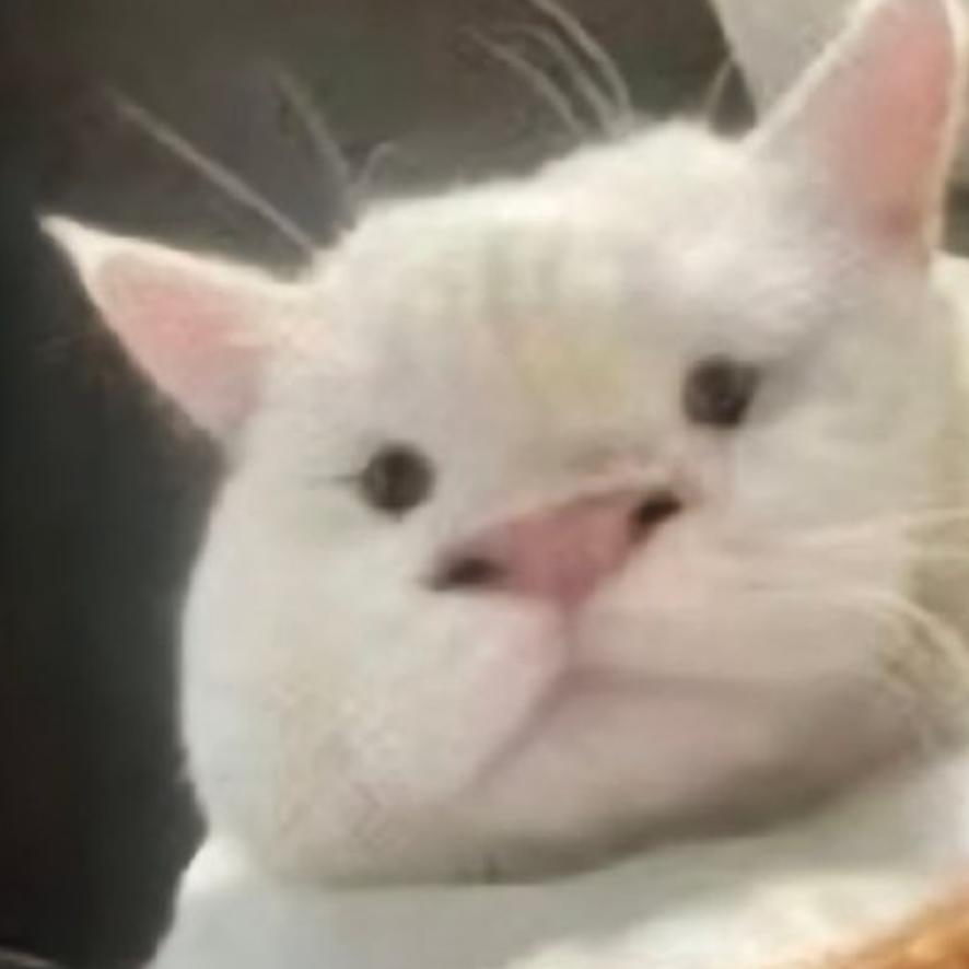 微信文件传输助手的内容会泄露吗,微信文件传输助手怎么移出黑名单