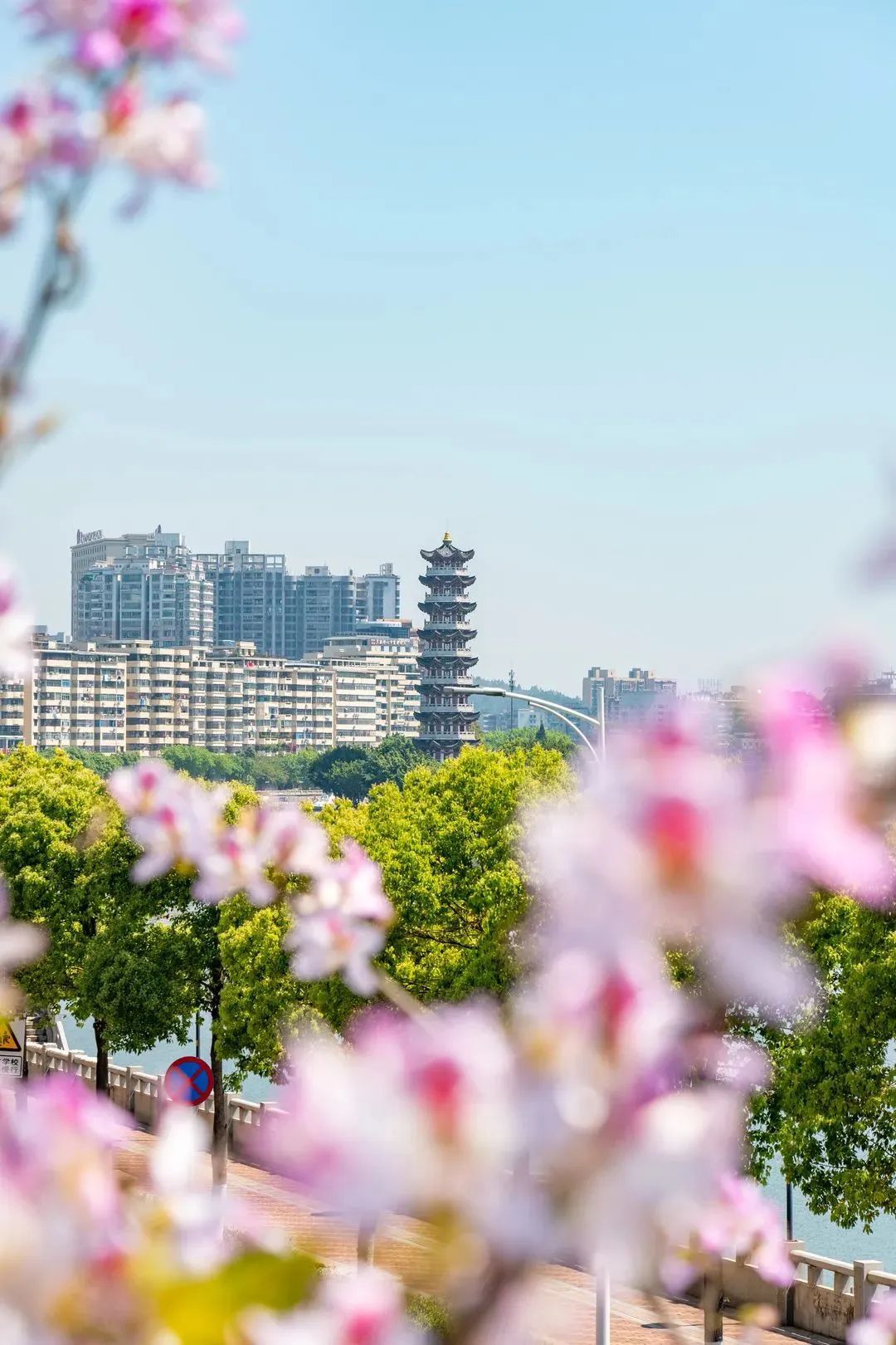 现在年轻人每天都想什么,现在的年轻人都在想什么