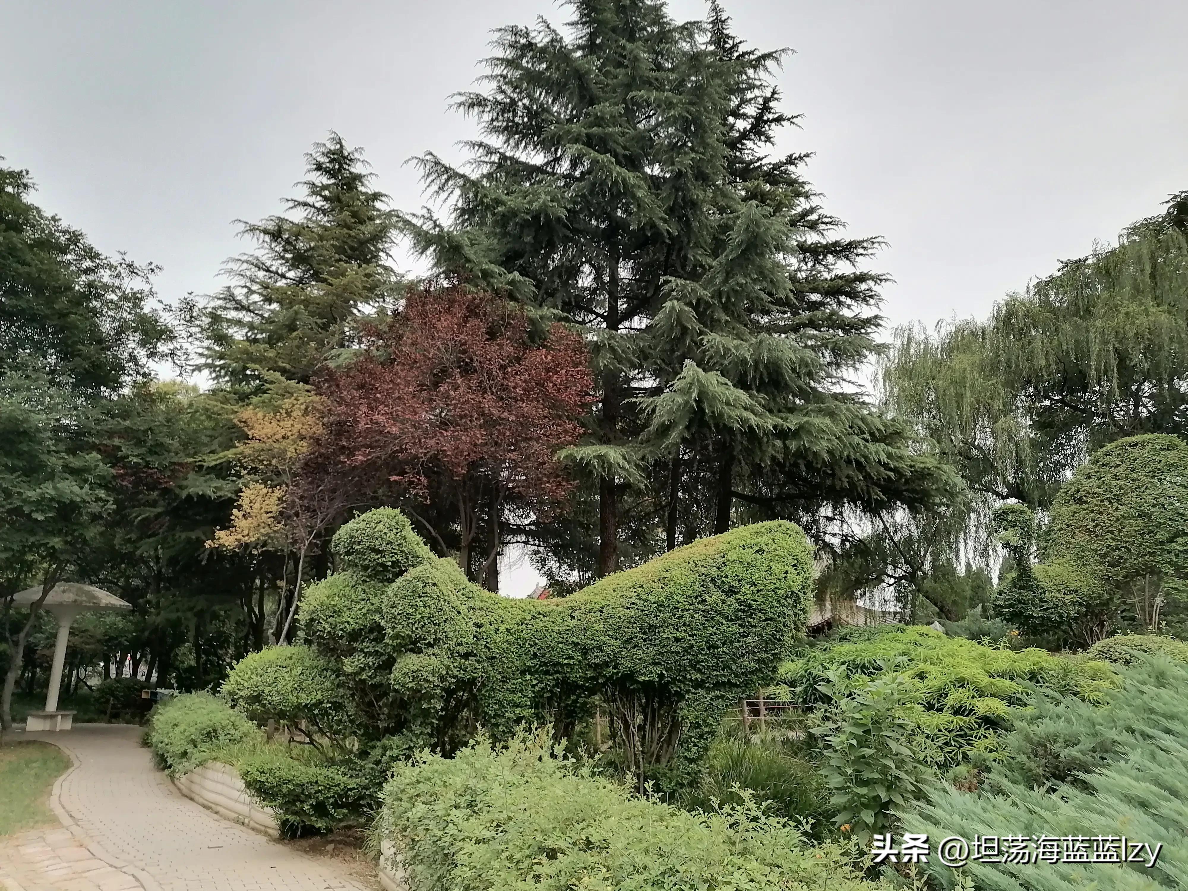 赞美城市美容师图片,怎么赞美一个美容师