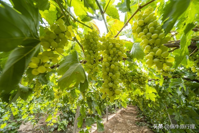 中国风景最好的省份排名,中国堪比瑞士的风景
