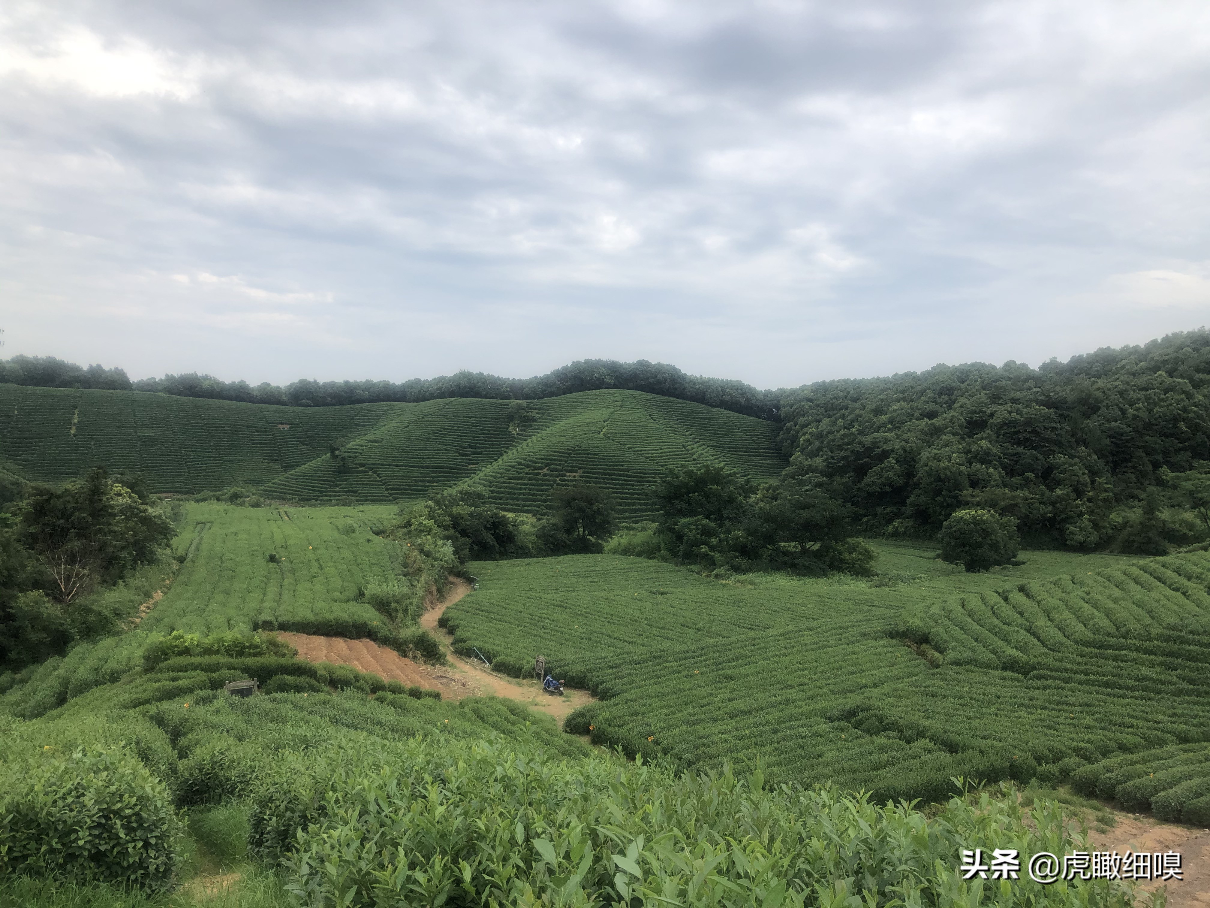 杭州十处产茶、喝茶、休闲好去处，你去过几处？