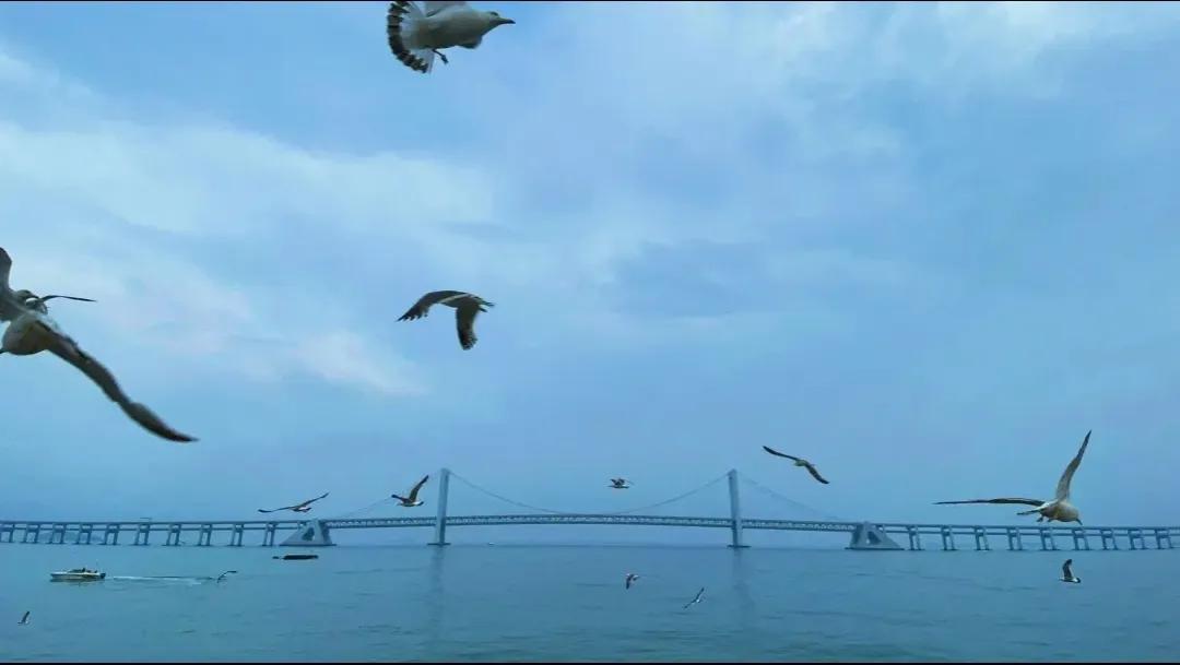 长春到大连海岛四日游价格,长春到大连六日游