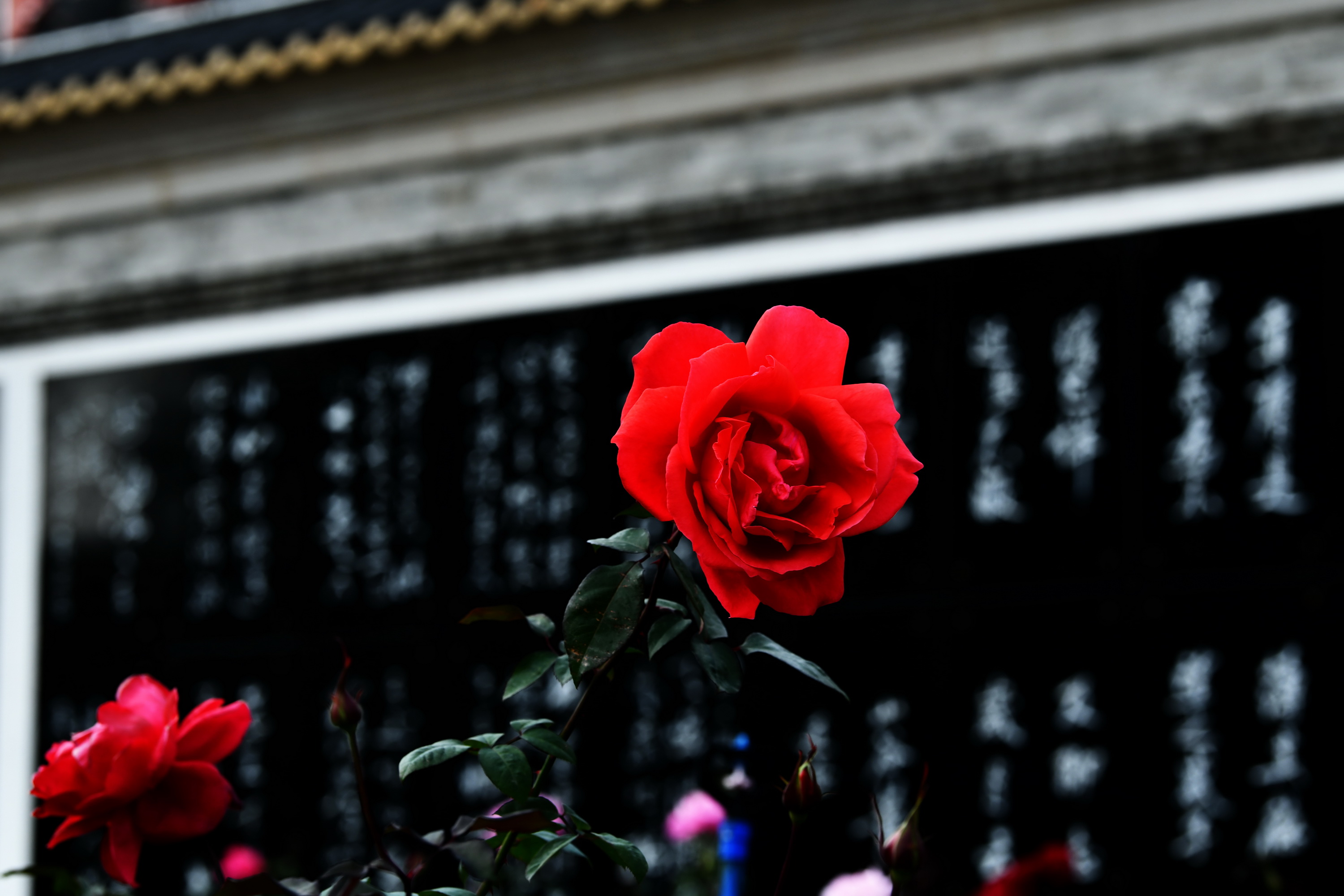 广州市番禺区宝墨园攻略,广州宝墨园景观