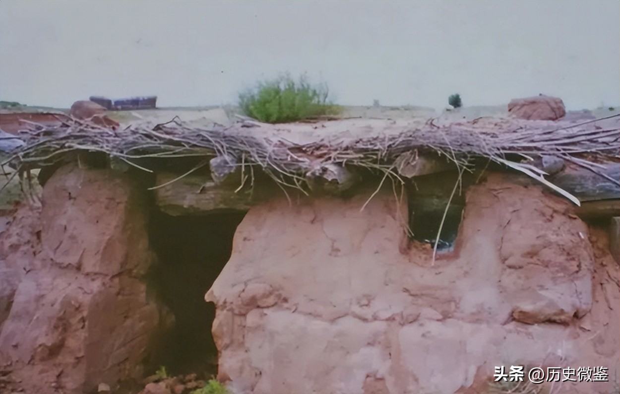 19岁女孩被迫嫁到荒漠,19岁女孩被迫嫁到荒漠下集