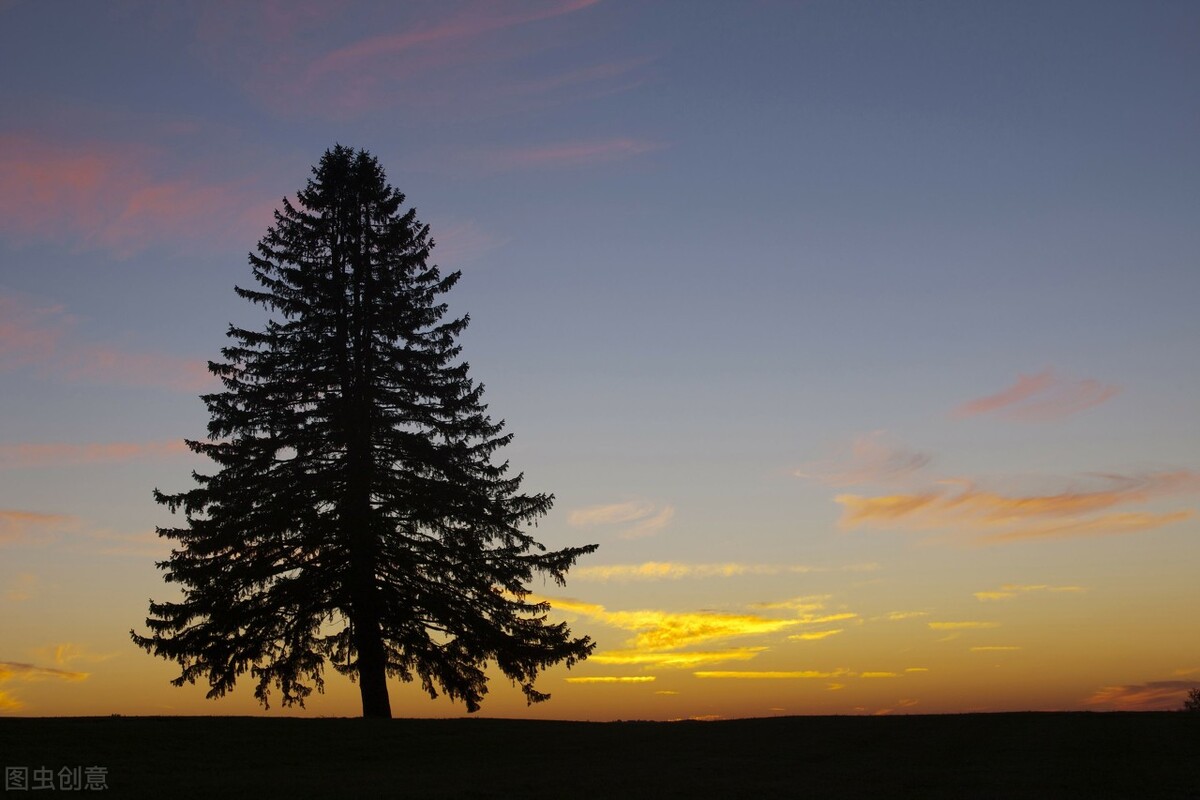 简短有创意的学生评语,每日学生评语