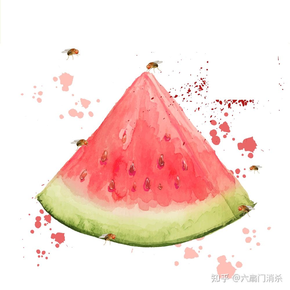 夏天果蝇从哪儿来,天气变暖好多果蝇