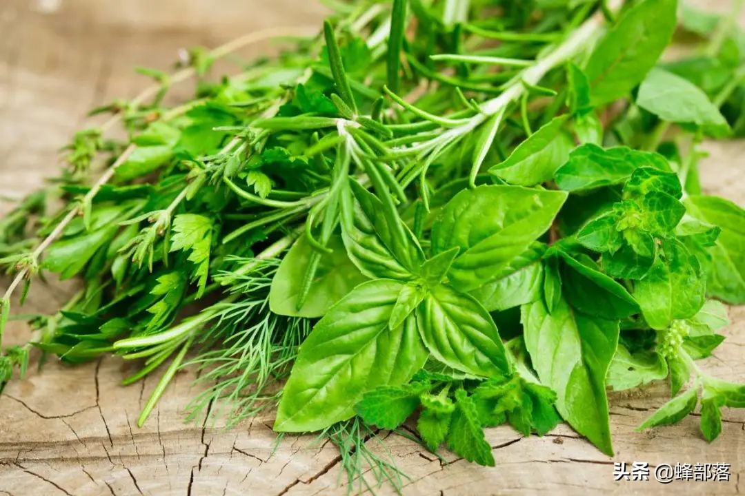 中药材生意怎么做才能赚钱,怎样在中药材市场上赚钱