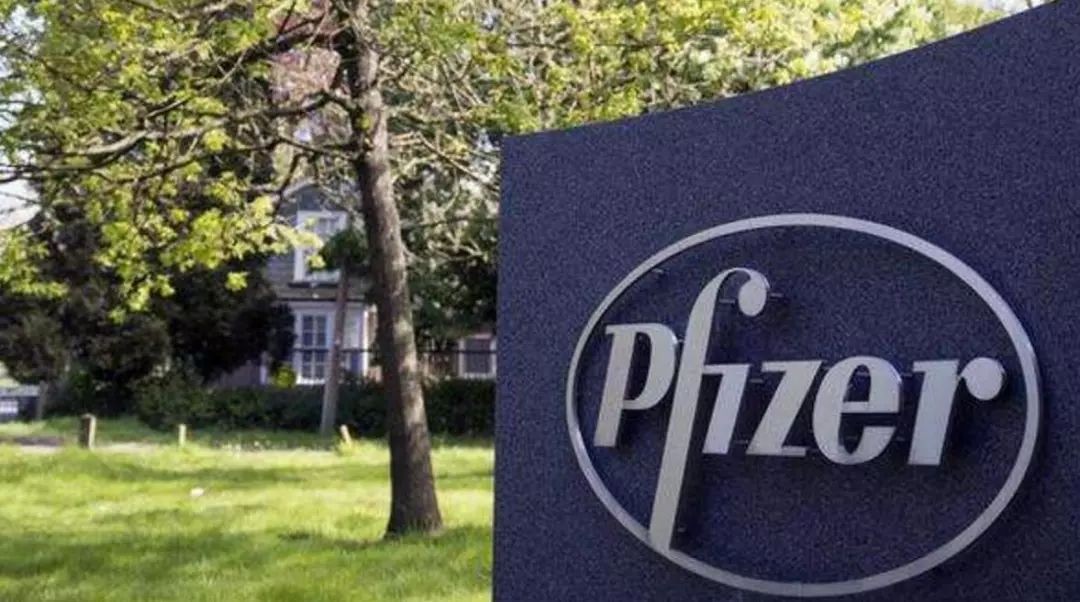 辉瑞发展史,辉瑞发家史