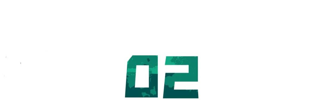 高级军士的现状,高级军士岗位