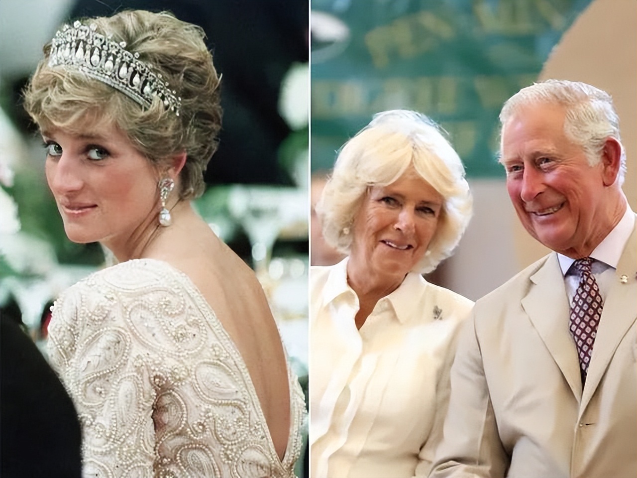 哈里退出王室对威廉有影响吗,哈里退出王室对威廉有伤害吗