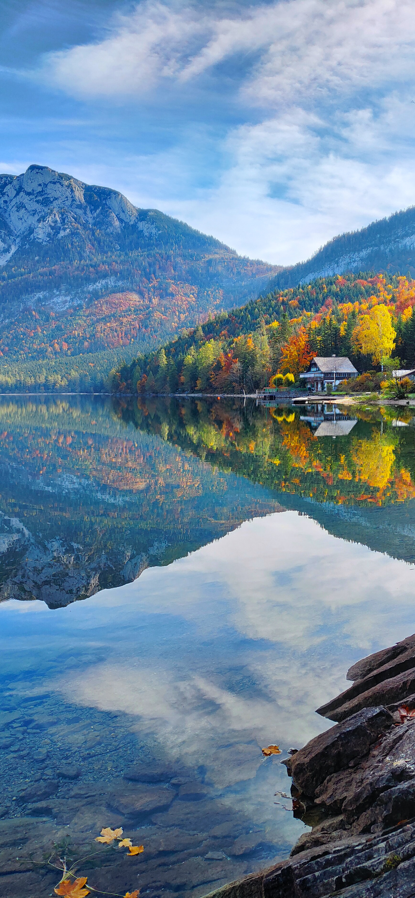 高清蓝天自然风景壁纸,动物自然风景高清壁纸
