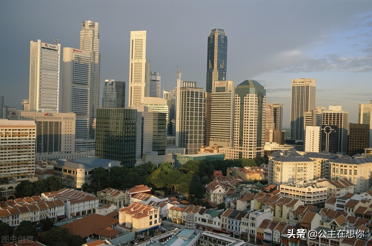 新加坡7个冷知识英文,世界上养猫最多的国家