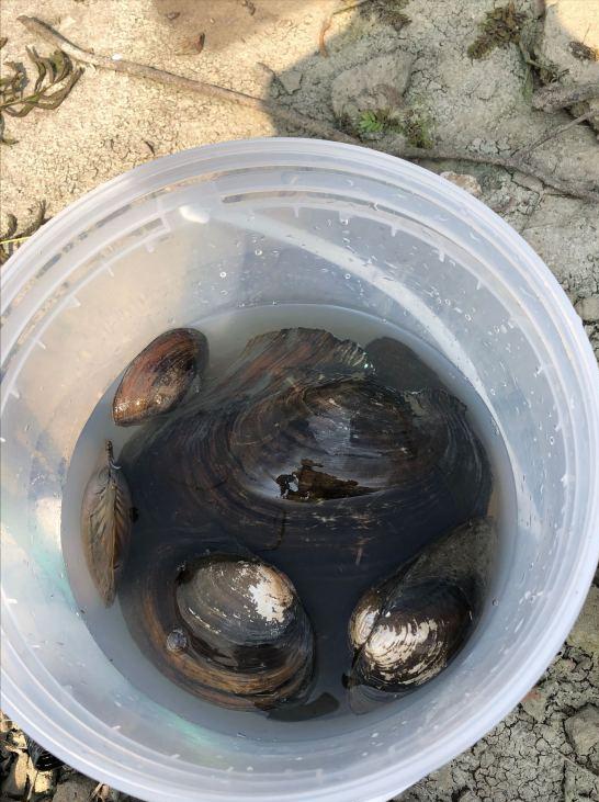 狗也有早口？盘点那些野钓大神钓起来的“天上飞地上走”