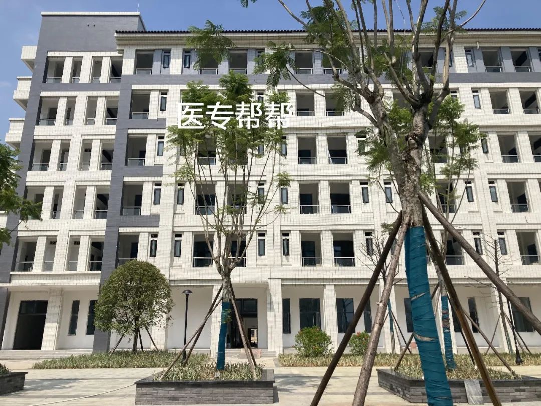 广东新增公办二本学院,广东省刚升公办本科的学校