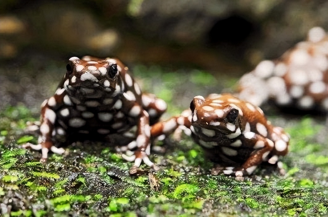 高高的紫云山,我们的青春故事曾在这里演绎