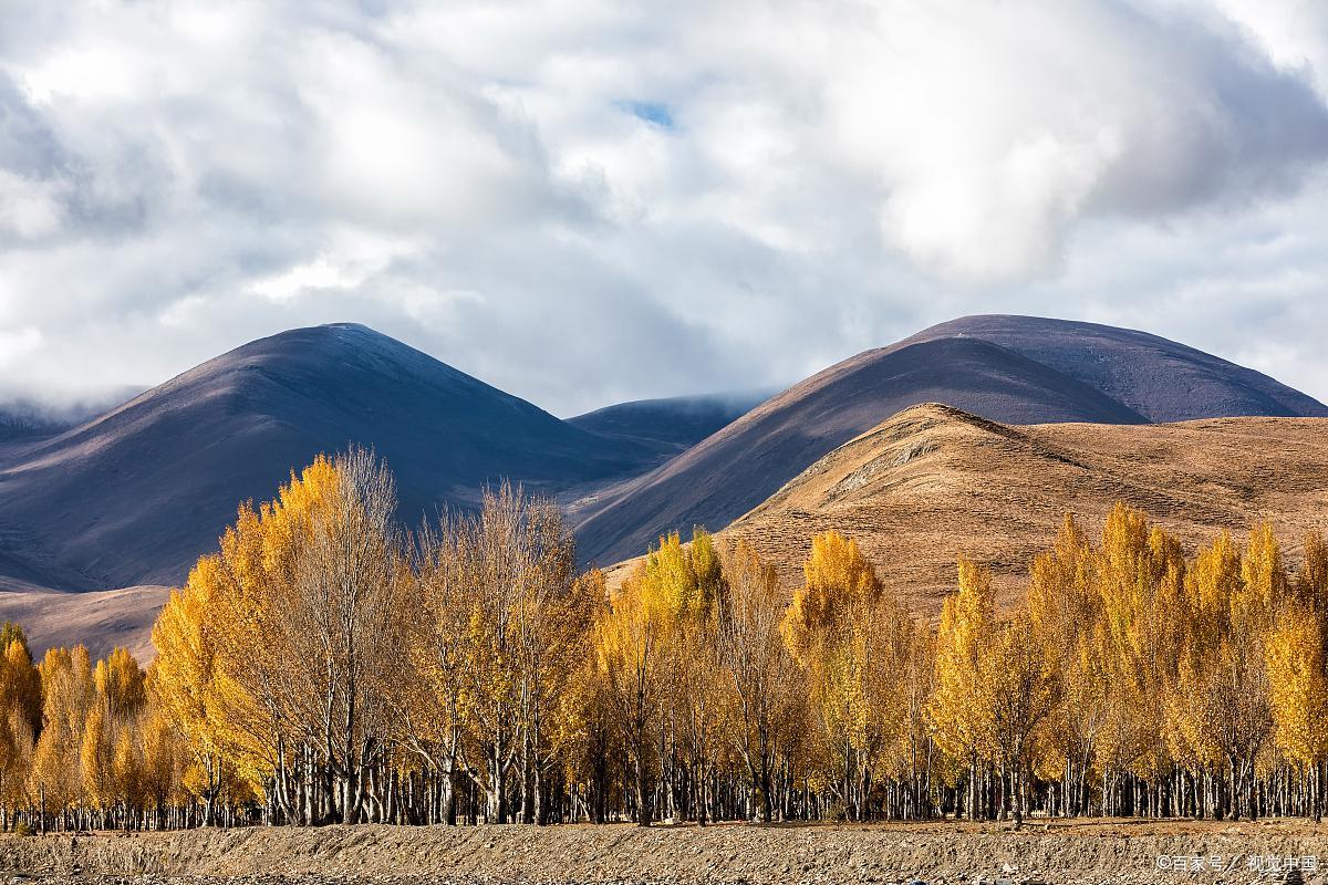 稻城亚丁差评视频,稻城亚丁真实的评价