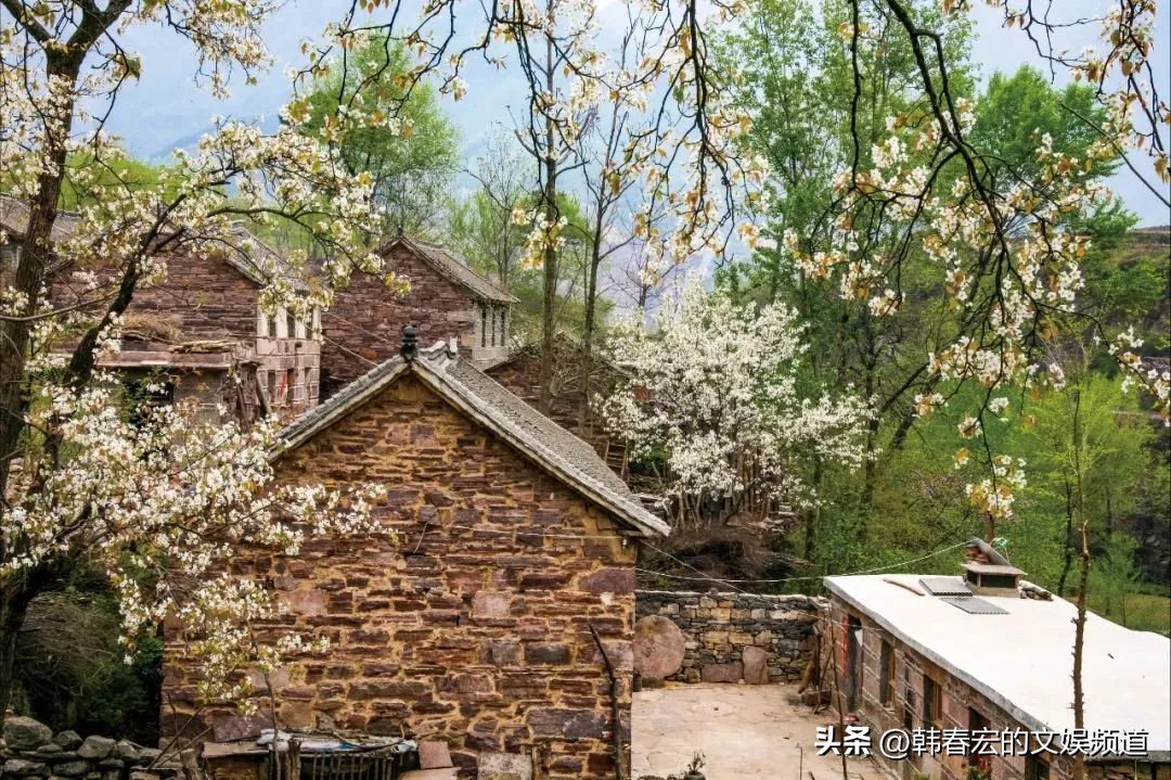 云赏美景,王莽岭美景