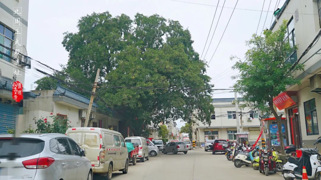 【陕西西安】汉长安城中的北周正武殿遗址帝王梦想的见证人