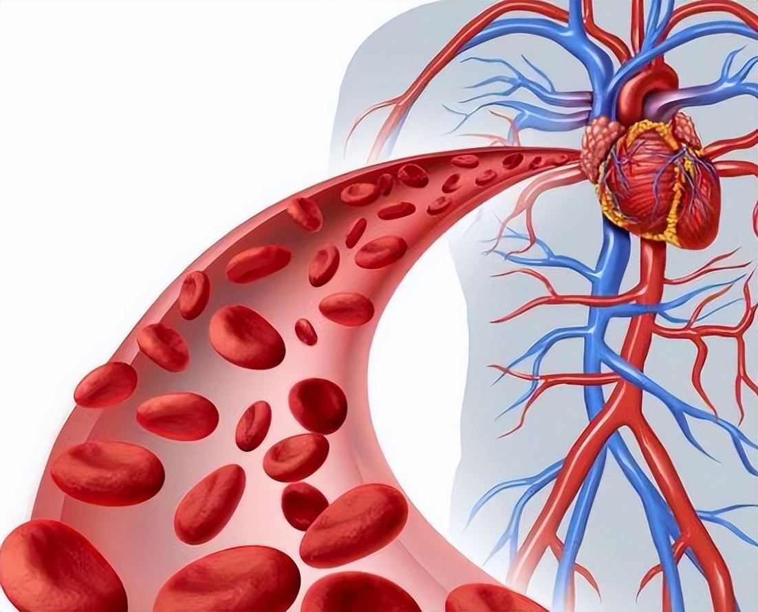 男人每天坚持踮脚尖的八个好处,每天坚持踮脚一个月会有哪些好处