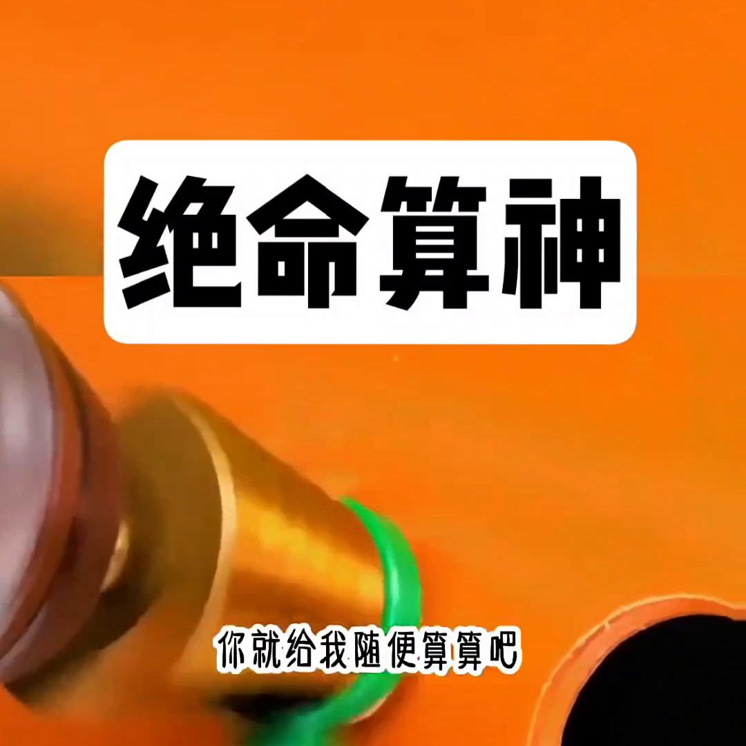 超级算神小说,小说绝命神算