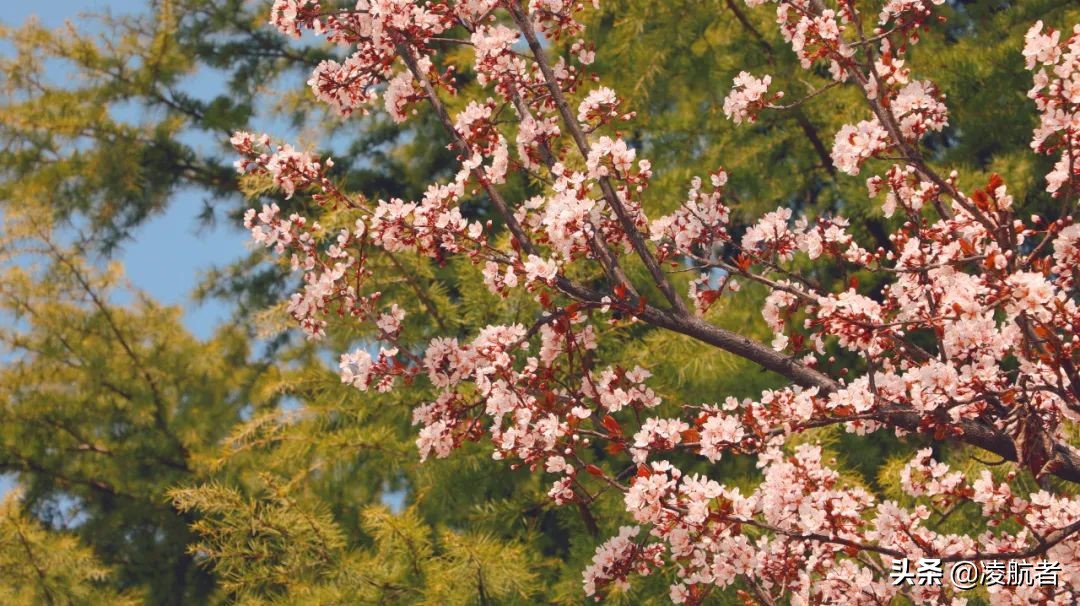 共赴春之约携手新征程,共赴春天之约携手砥砺前行