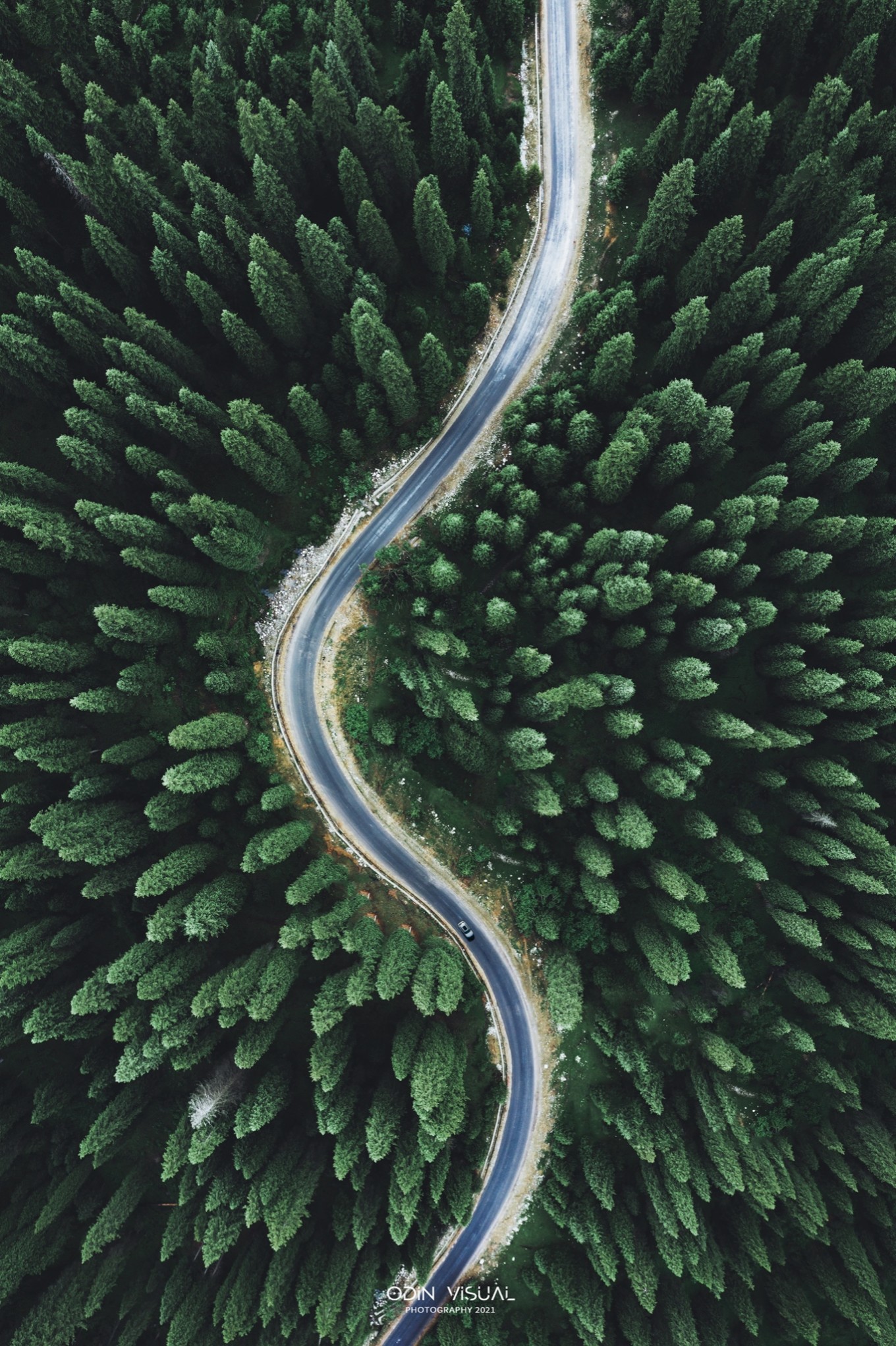 去新疆发现伊犁的美,世界之美尽在伊犁