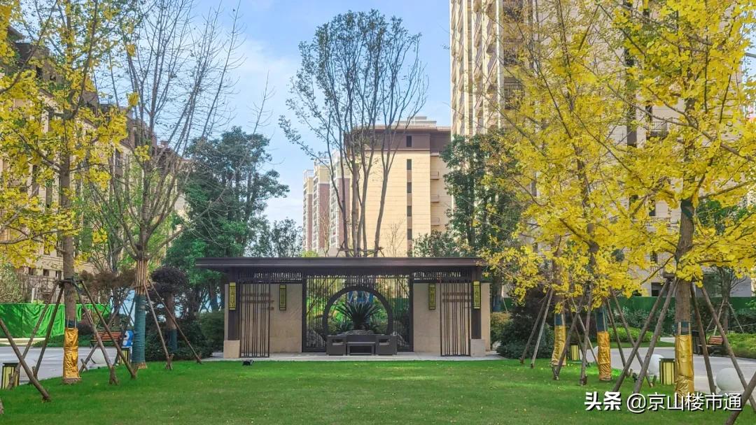 祥生尚京公馆什么街道,2024祥生尚京公馆洋房价格