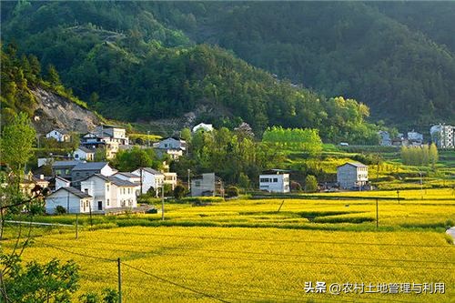 我是农村户口一直没有土地怎么办,农村户口没有宅基地有拆迁补偿吗