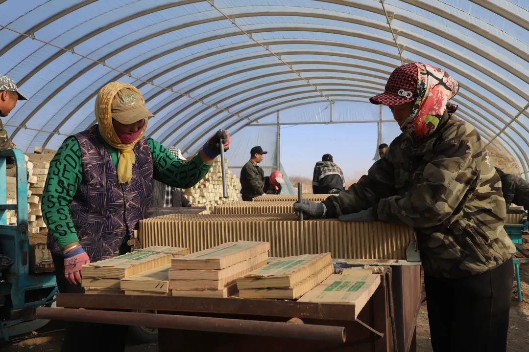 感党恩听党话跟党走藏语,感党恩听党话跟党走