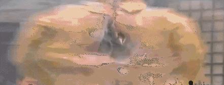 用扑克牌杀鬼子抗日神剧,包子雷抗日神剧是第几集