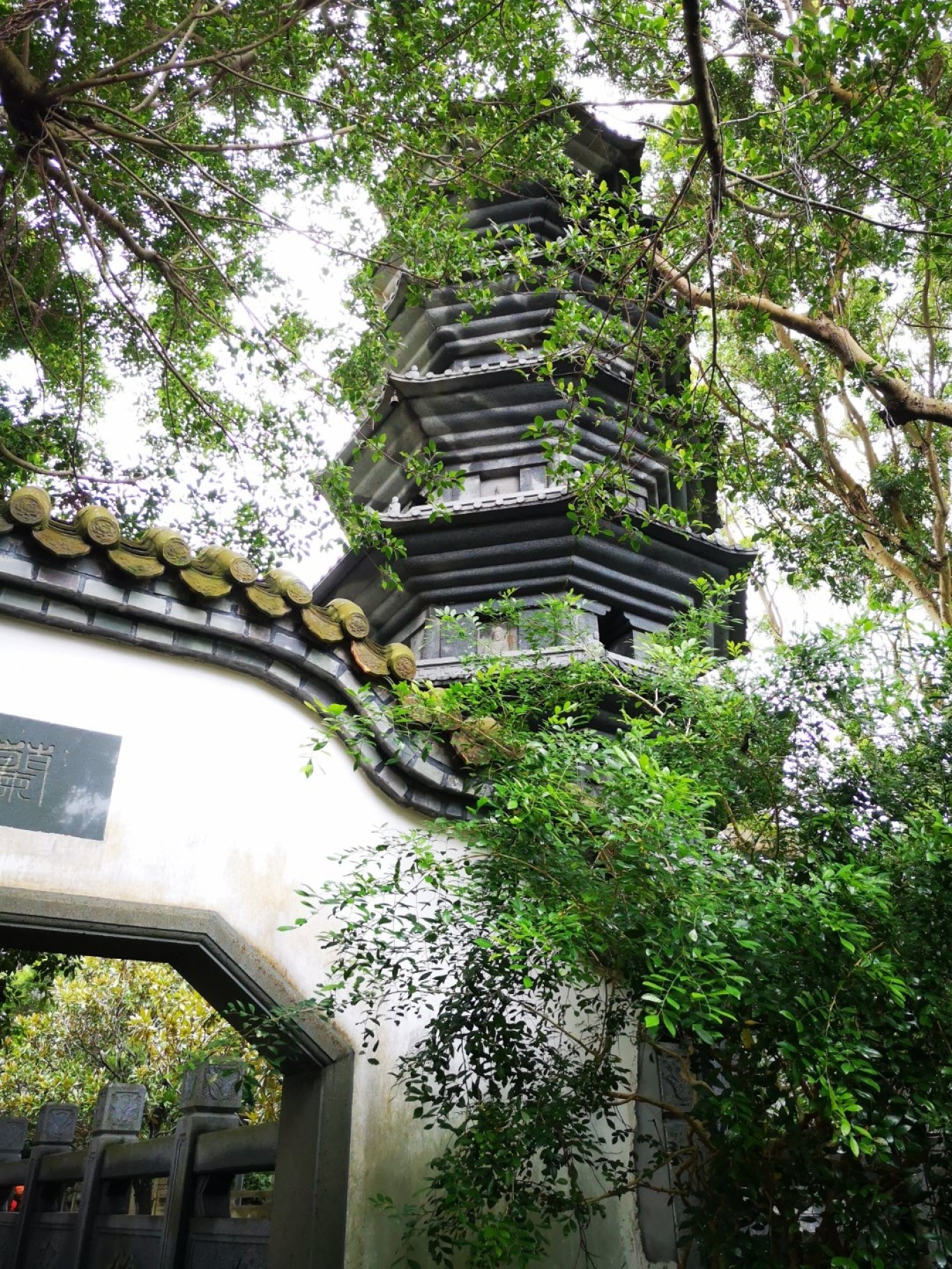 暑期档2019年,2019年暑期档