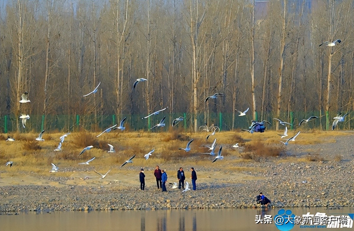 河南省黄河迎宾馆雪景,洛阳春来花似锦