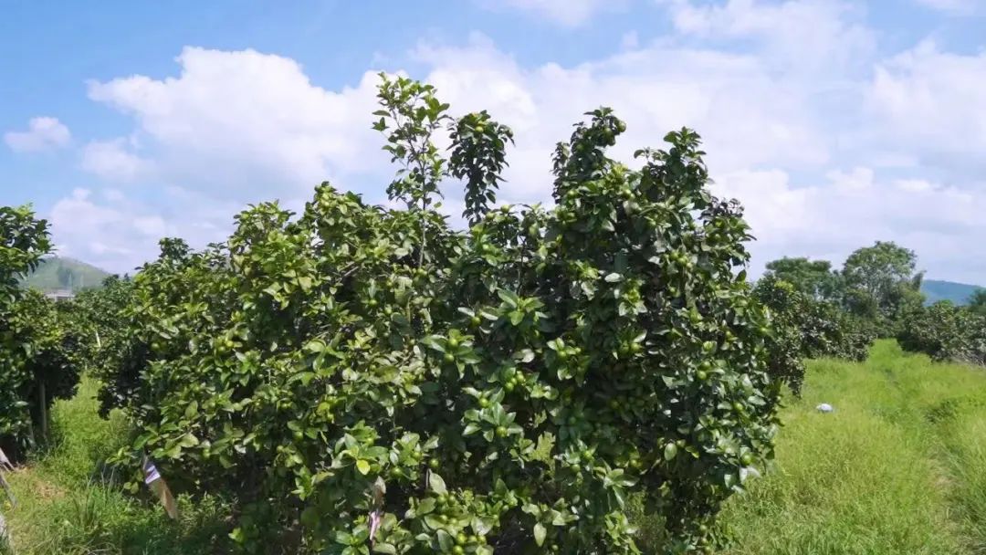 行业不景气怎么办,行业不景气如何创业