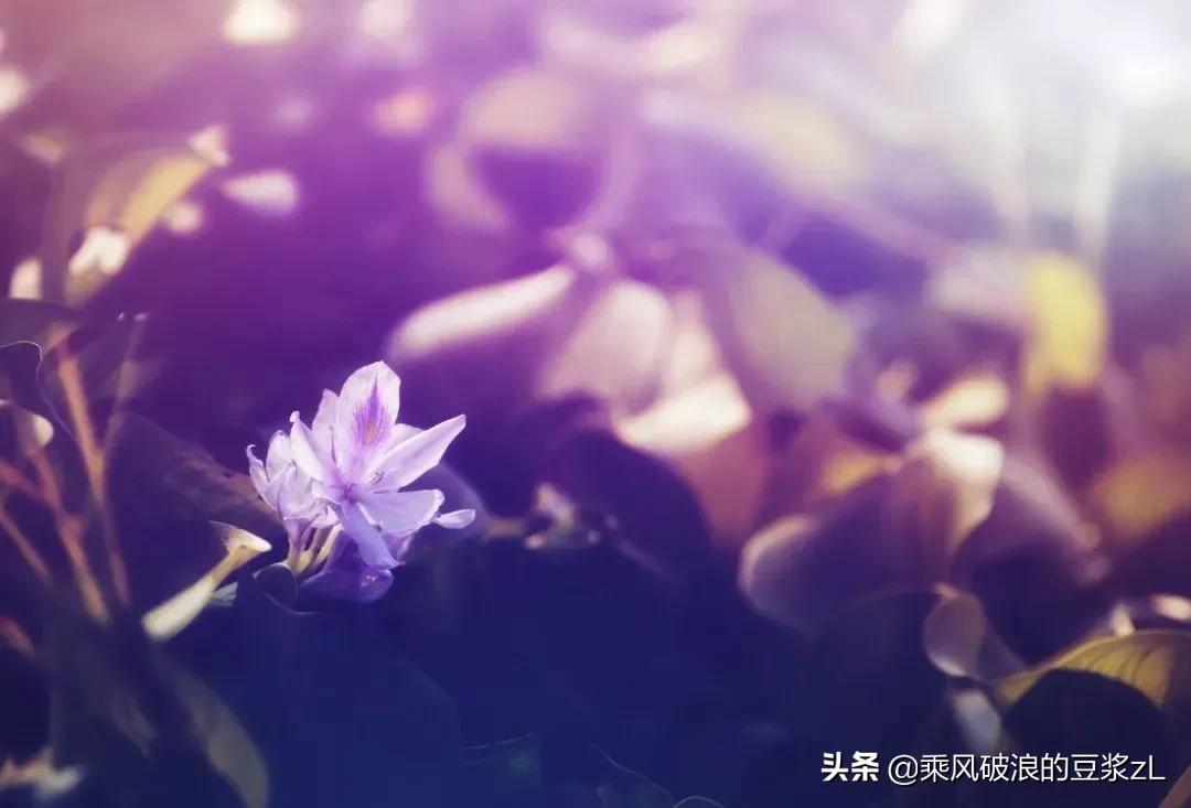 三国演义原文加注释,三国演义文言文带注音