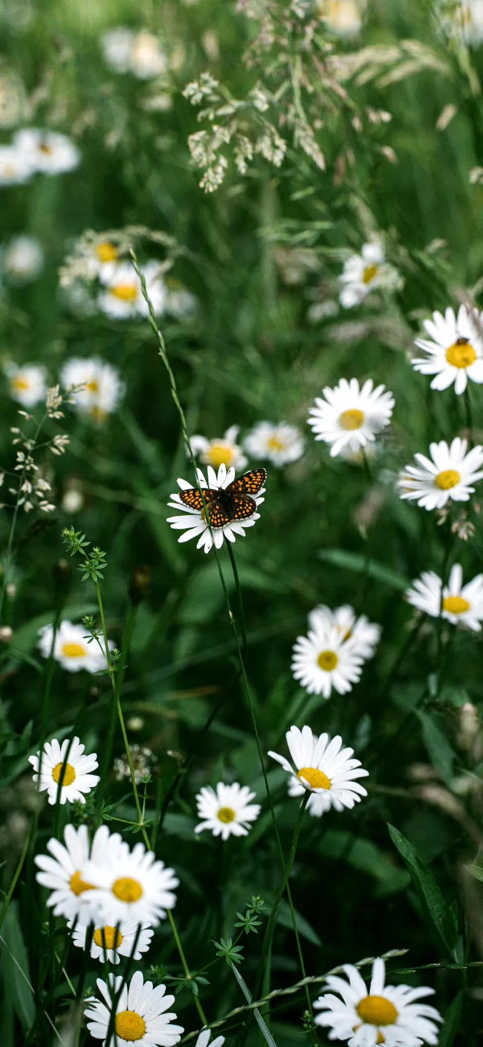 看遍世界风景的句子,世界风景视频