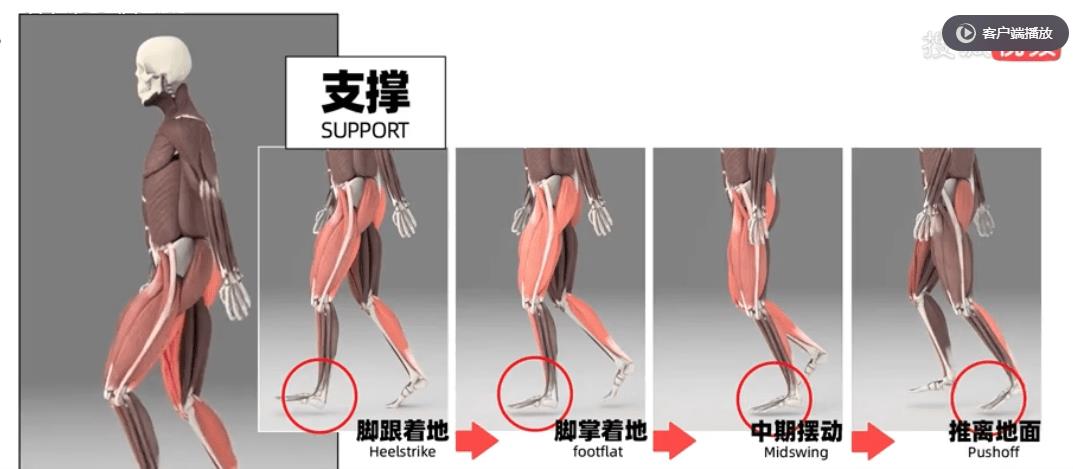 鞋带打结不易掉方法慢动作,鞋带老是松怎么打结