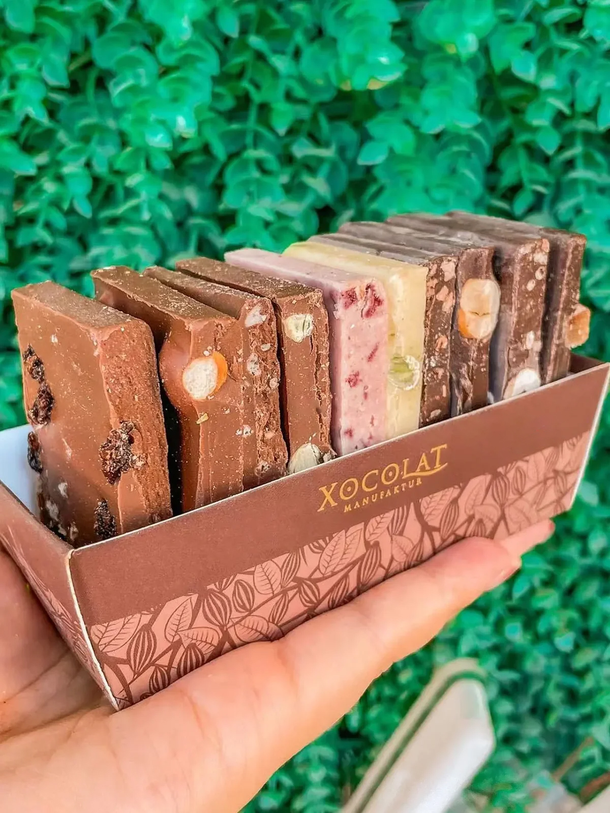 救命的巧克力,救命巧克力